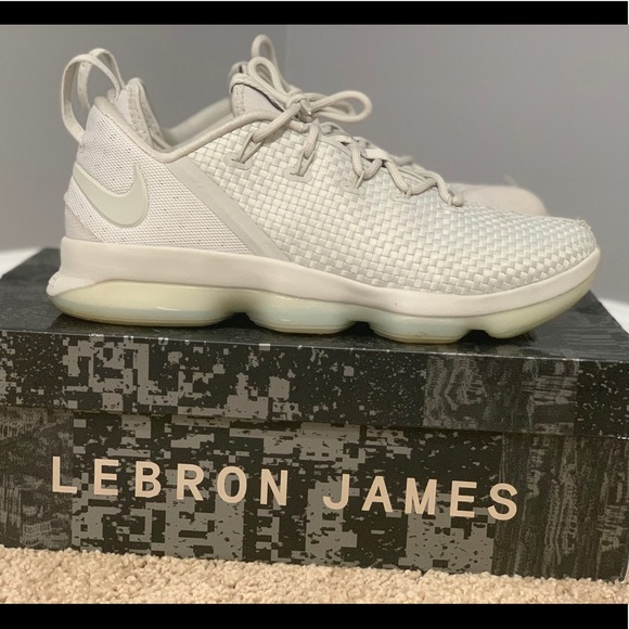 lebron xiv low
